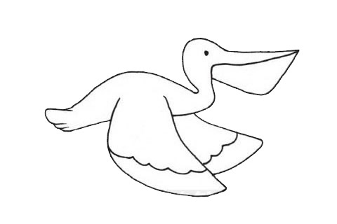 鹈鹕的简单画法