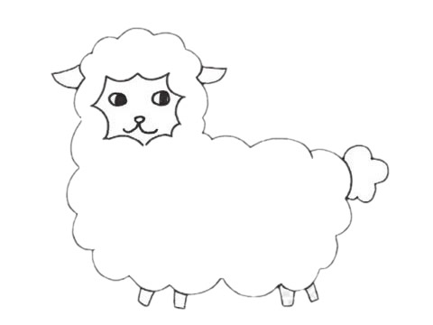 关于绵羊的简笔画
