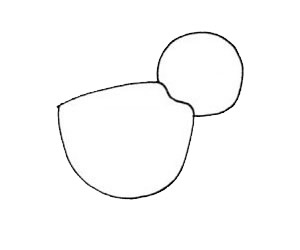 鹈鹕怎么画最简单