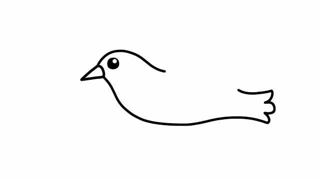 衔着树枝的鸽子简笔画步骤 衔着树枝的鸽子简笔画步骤