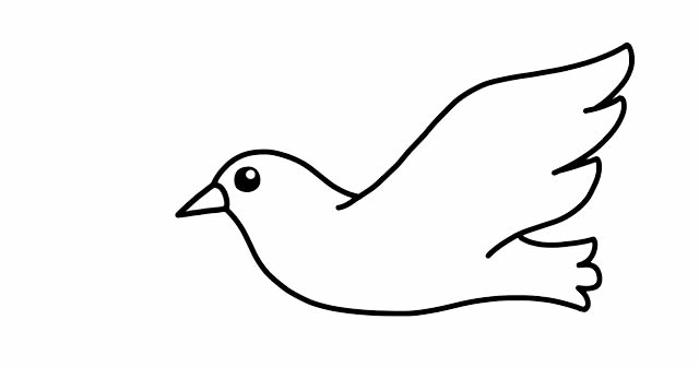 衔着树枝的鸽子简笔画步骤 衔着树枝的鸽子简笔画步骤