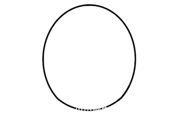 可爱的卡通海狮简笔画