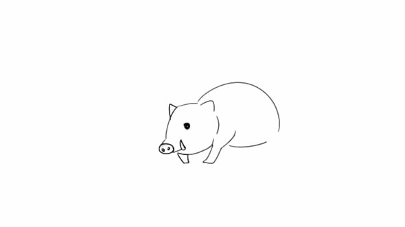 带刺的豪猪怎么画