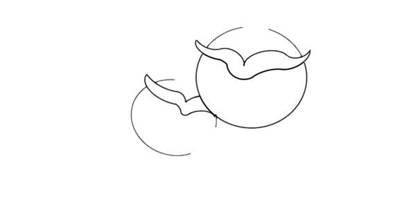 猫头鹰妈妈和宝宝卡通简笔画