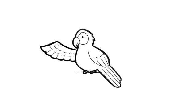 简单的鹦鹉怎么画 简单的鹦鹉怎么画