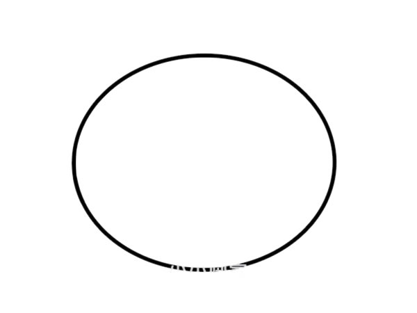 卡通鲨鱼简笔画画法步骤