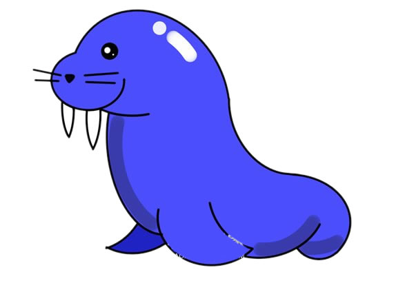 可爱的海象简笔画画法步骤