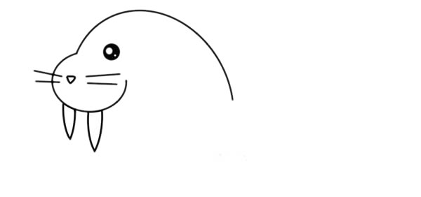 可爱的海象简笔画画法步骤