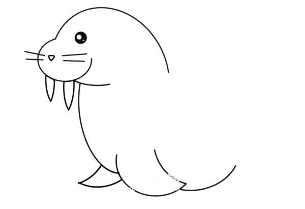 可爱的海象简笔画画法步骤