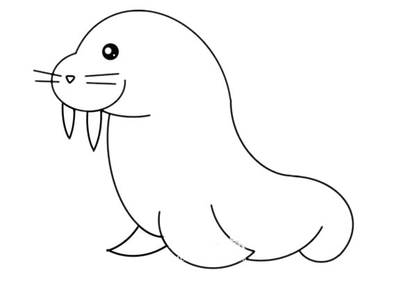 可爱的海象简笔画画法步骤