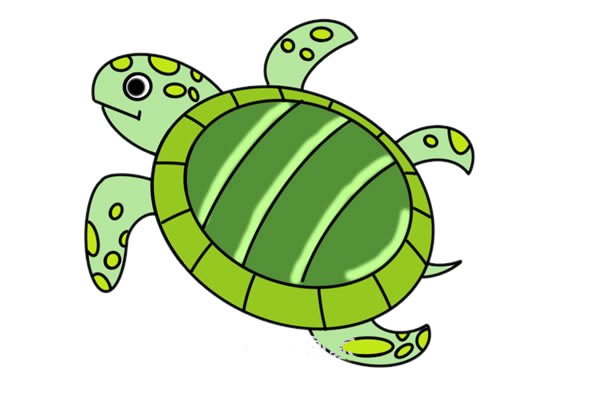 彩色卡通海龟简笔画画法(海龟简笔画 卡通图片)