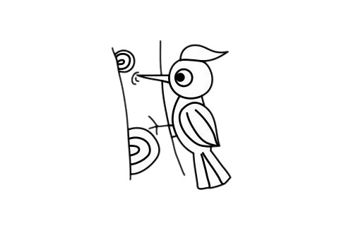 啄木鸟的简单画法 啄木鸟的简单画法
