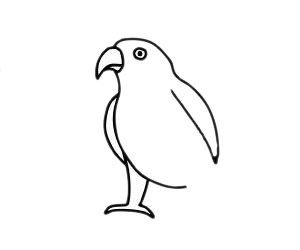 关于鹦鹉的简单画法