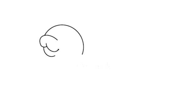 海豹怎么画简单又漂亮