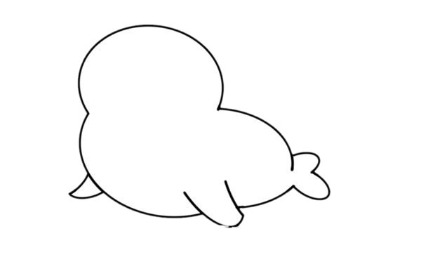 可爱的海狮简笔画步骤