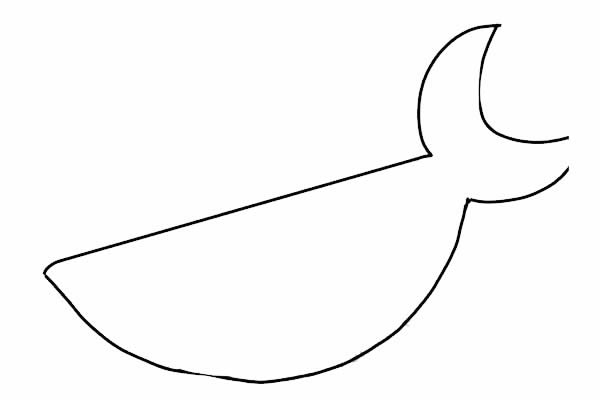 海底的大鲨鱼简笔画