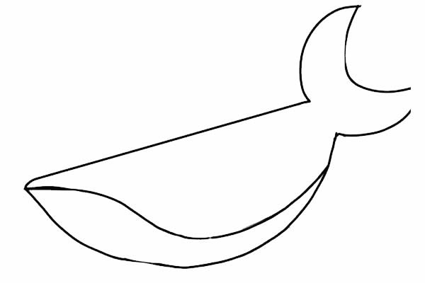 海底的大鲨鱼简笔画