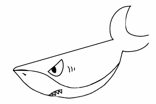 海底的大鲨鱼简笔画