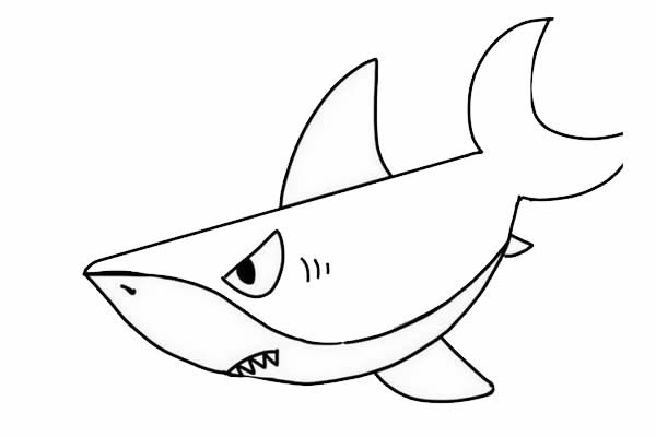 海底的大鲨鱼简笔画