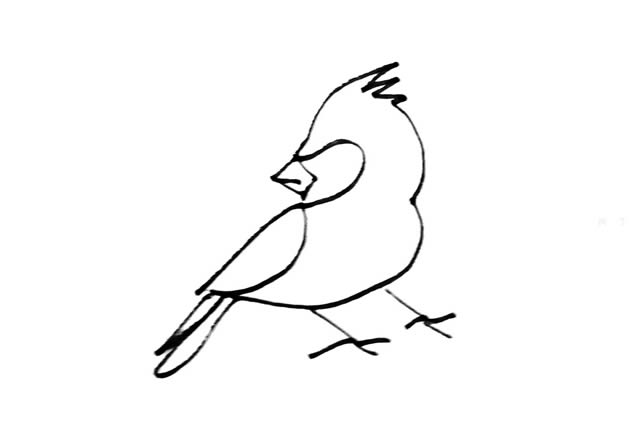 彩色小鸟简笔画的画法