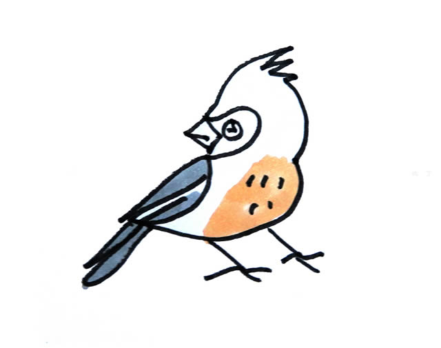 彩色小鸟简笔画的画法