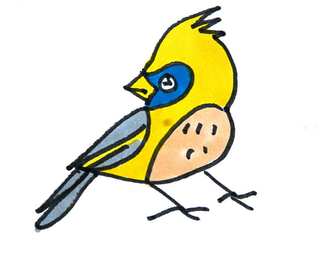 彩色小鸟简笔画的画法