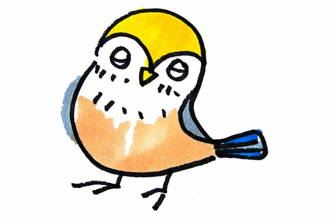 简单的水彩小鸟简笔画