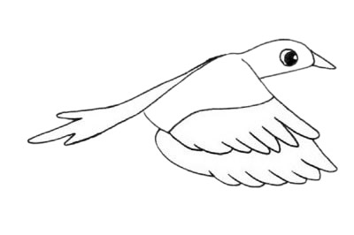 飞翔的喜鹊简笔画