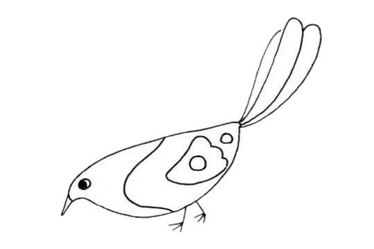 喜鹊的简单画法