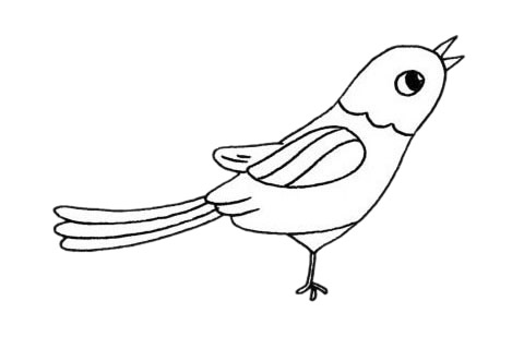 关于喜鹊的简笔画