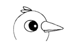 漂亮的小喜鹊简笔画步骤