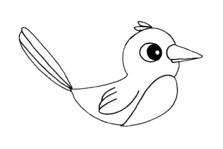 漂亮的小喜鹊简笔画步骤