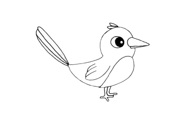 漂亮的小喜鹊简笔画步骤