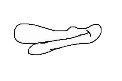 卡通鸭子简笔画 卡通鸭子简笔画