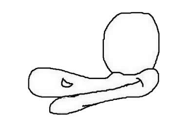 卡通鸭子简笔画 卡通鸭子简笔画