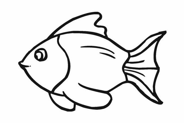 金鱼怎么画最简单