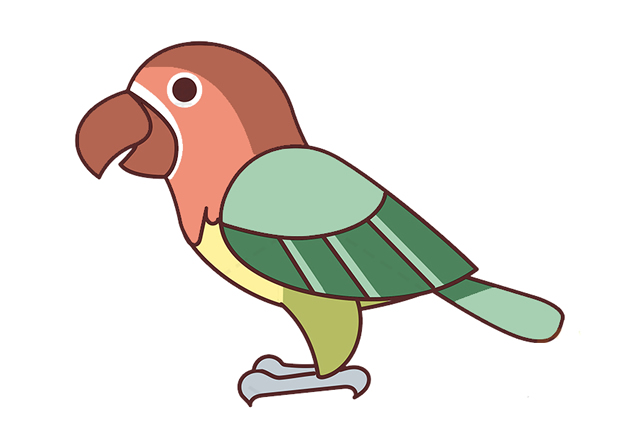 简单漂亮的鹦鹉简笔画(简单鹦鹉简笔画)