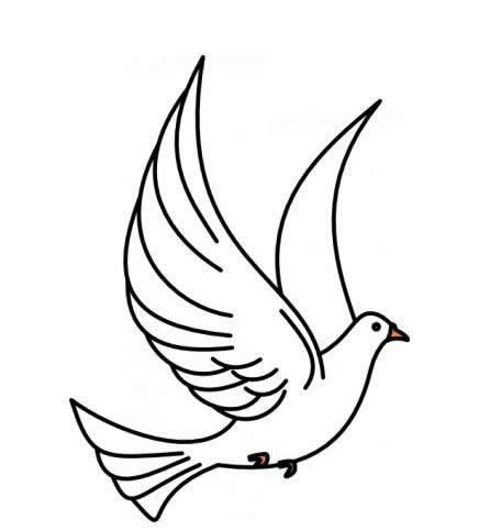 鸽子儿童简笔画(鸽子儿童简笔画图片大全)