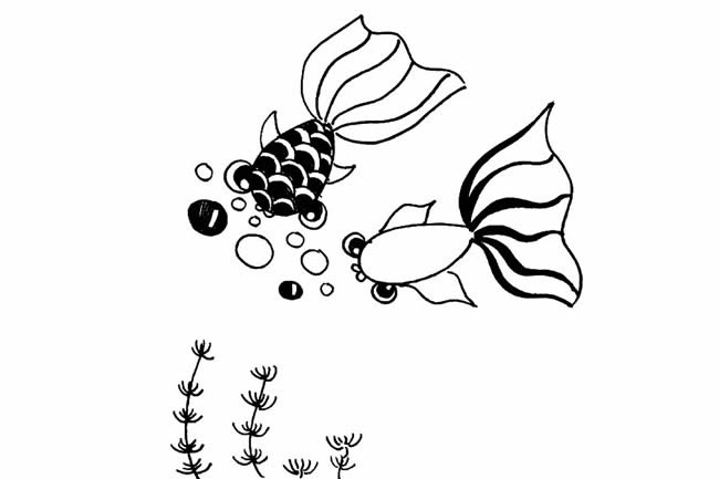 漂亮金鱼简笔画(金鱼简笔画大全带颜色)