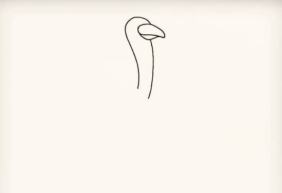 漂亮的鸵鸟简笔画步骤