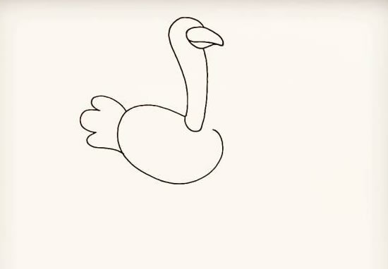 漂亮的鸵鸟简笔画步骤