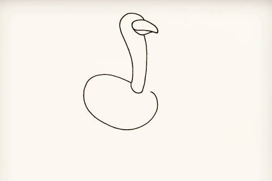 漂亮的鸵鸟简笔画步骤