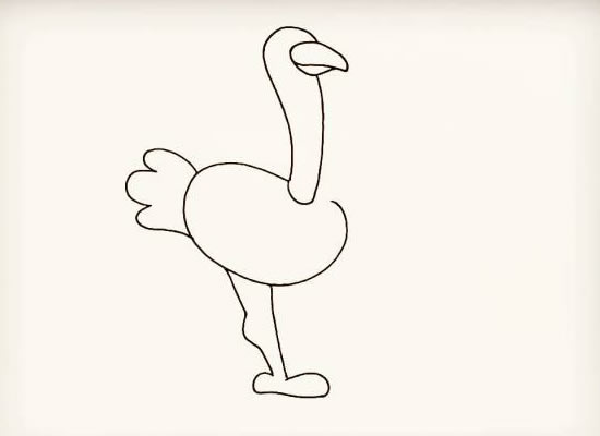 漂亮的鸵鸟简笔画步骤