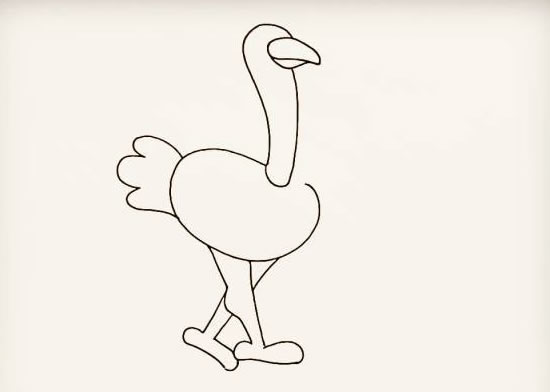 漂亮的鸵鸟简笔画步骤