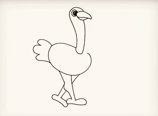 漂亮的鸵鸟简笔画步骤