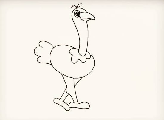 漂亮的鸵鸟简笔画步骤
