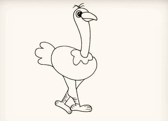 漂亮的鸵鸟简笔画步骤