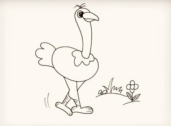 漂亮的鸵鸟简笔画步骤