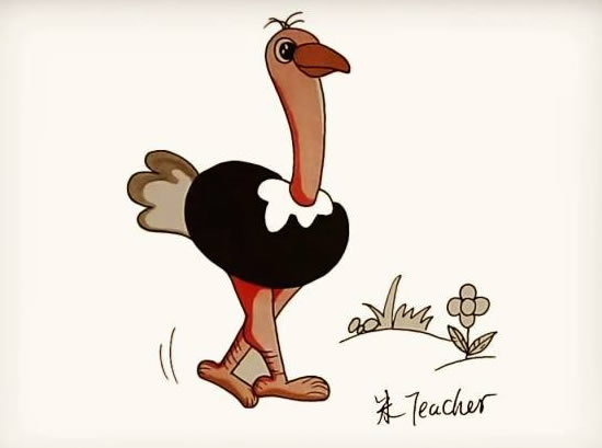 漂亮的鸵鸟简笔画步骤