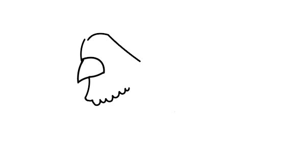 母鸡简笔画详细步骤(母鸡简笔画彩色可爱)